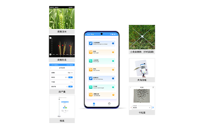 景德镇市小麦表型检测仪IN-XM04