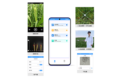 景德镇市小麦亩穗数分析仪IN-XM02